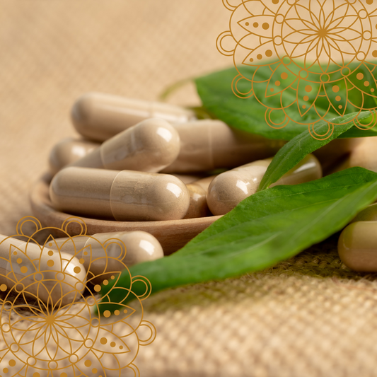 Ayurvedic Herbal Capsules | Holistic Essentials