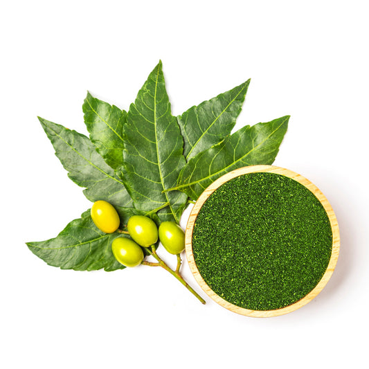 10 Medicinal Uses of Neem: Nature's Healing Touch