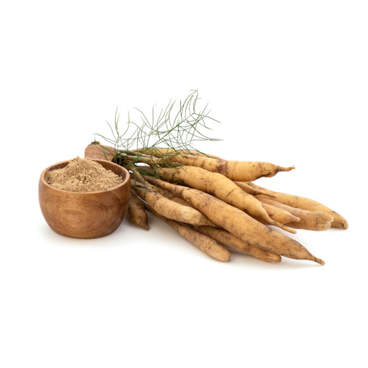 Shatavari Benefits for Women's Health