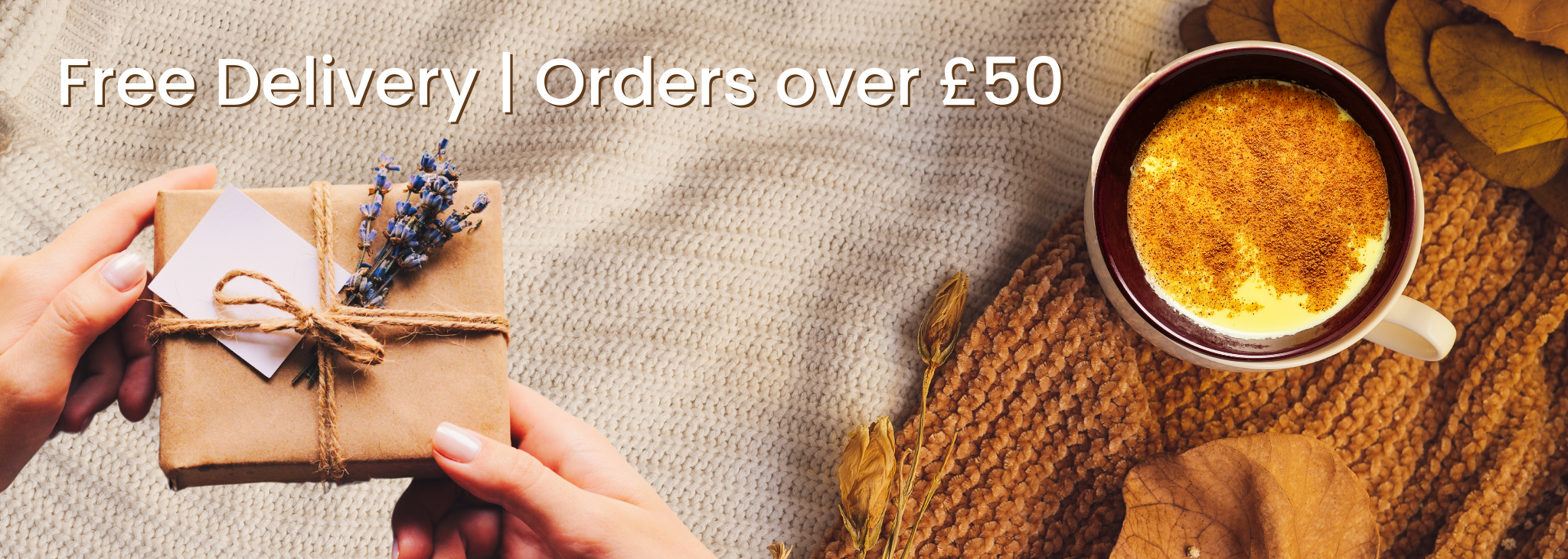 Free Delivery Banner | Holistic Essentials
