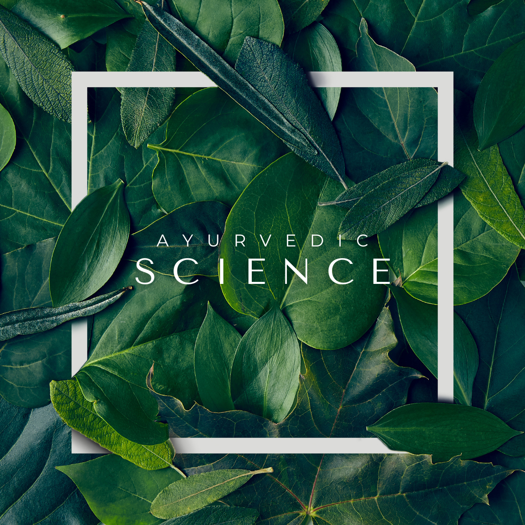 The Science of Ayurveda: Detoxifying Your Body with Seasonal Foods